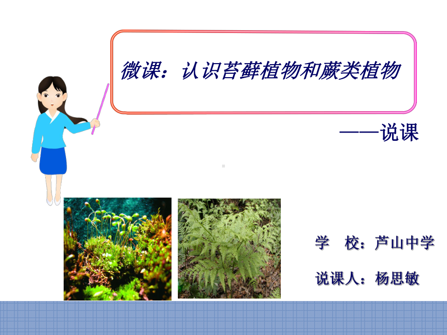 苏教版八年级上册生物-五彩缤纷的植物世界说课课件.ppt_第1页