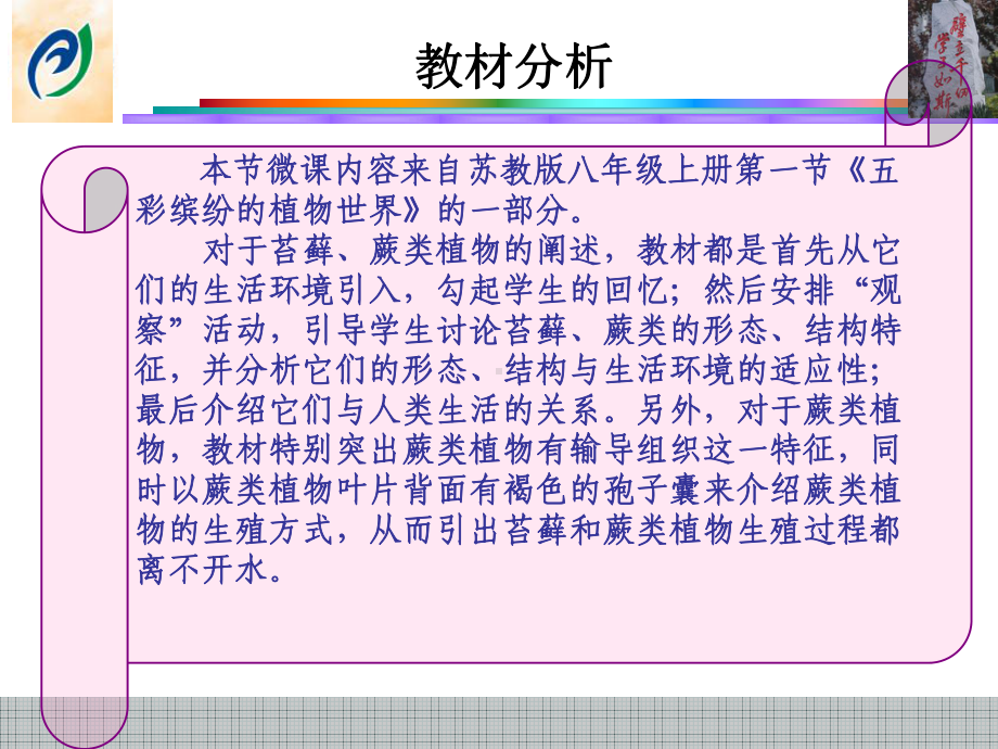 苏教版八年级上册生物-五彩缤纷的植物世界说课课件.ppt_第3页