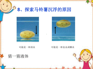 科学探索马铃薯沉浮的原因教学课件《教科版》五年级下学期.pptx