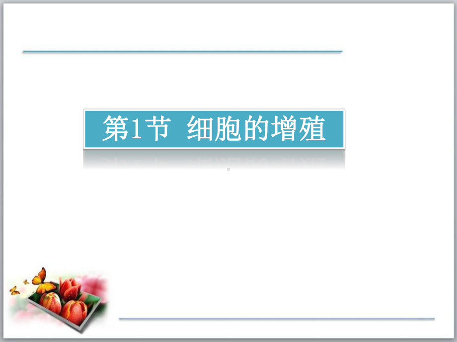 第一节细胞的增殖课件.ppt_第3页