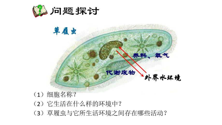 生物选择性必修一11细胞生活的环境课件.ppt_第3页