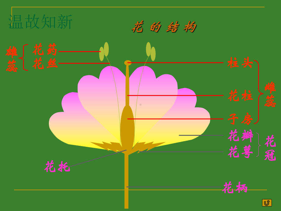 苏科版八年级上册生物：第1节-植物的生殖课件.ppt_第2页