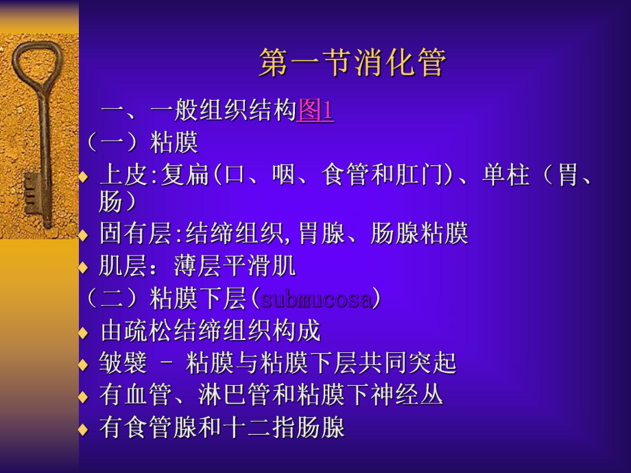 第七章消化系统医学医药课件.ppt_第2页