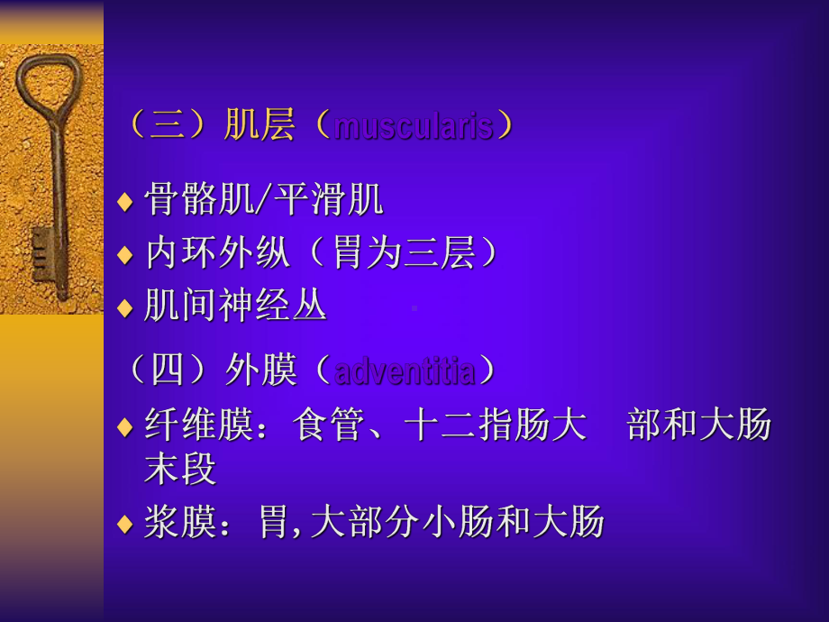 第七章消化系统医学医药课件.ppt_第3页