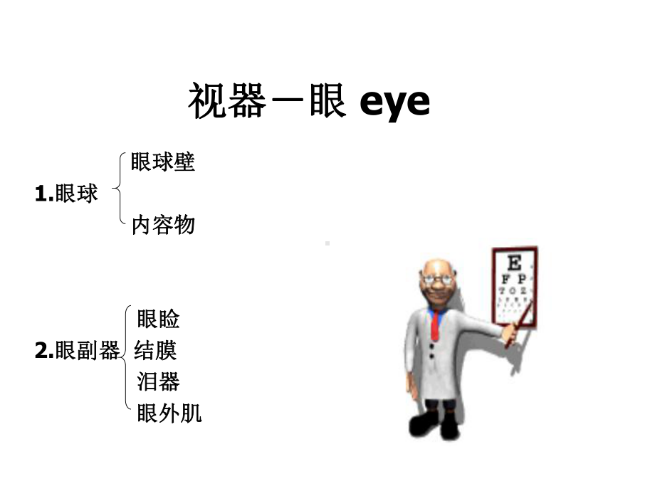 系统解剖学课件：感觉器sensory-organ.ppt_第3页