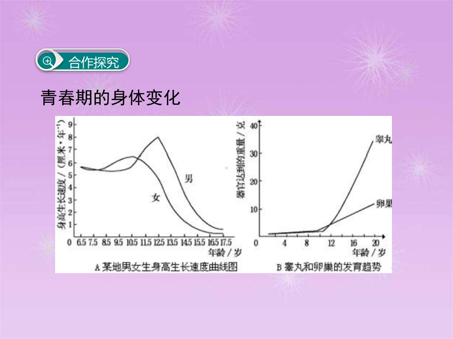 直面青春期课件.ppt_第3页