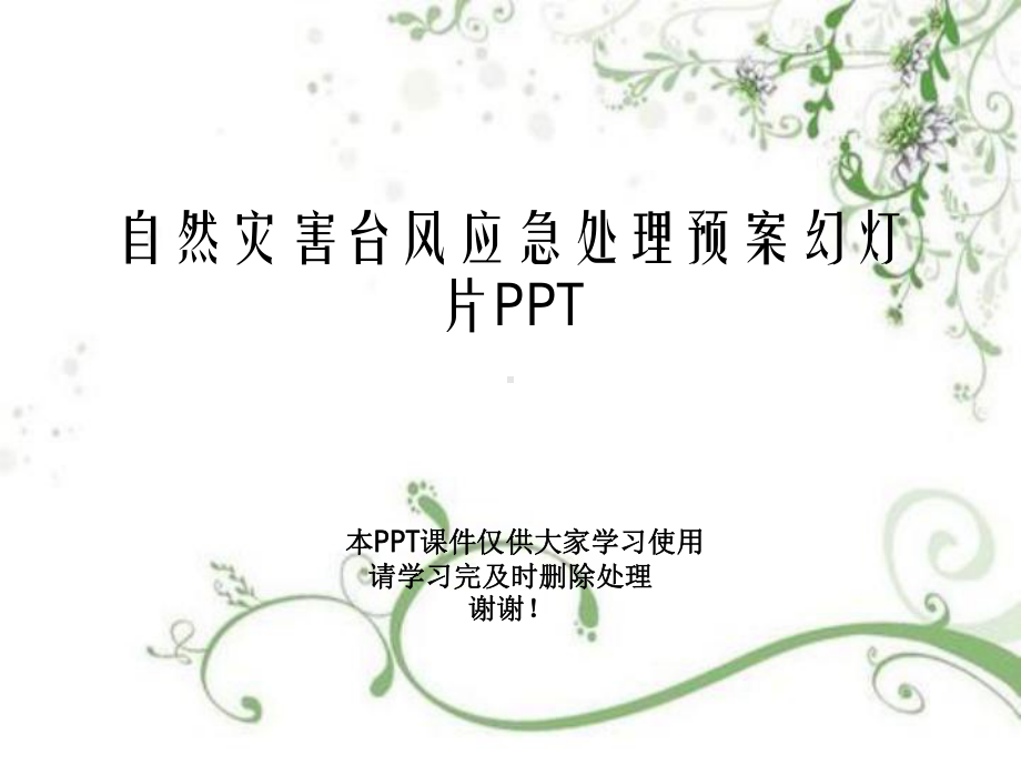 自然灾害台风应急处理预案教学课件.ppt_第1页