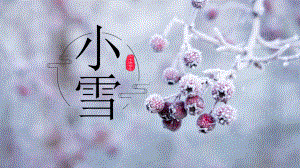 简约经典高端共赢未来传统节日小雪活动策划模板课件.pptx