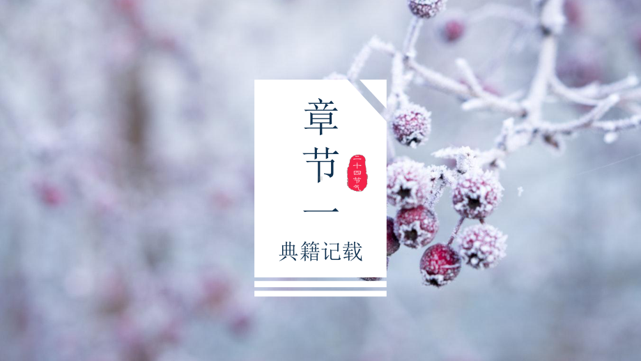 简约经典高端共赢未来传统节日小雪活动策划模板课件.pptx_第3页