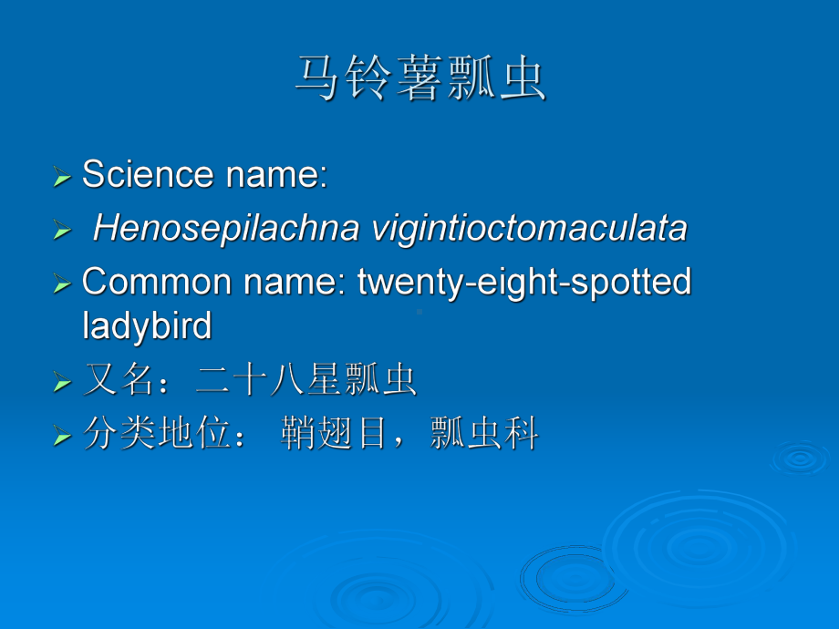 茄二十八星瓢虫和马铃薯瓢虫课件.ppt_第2页