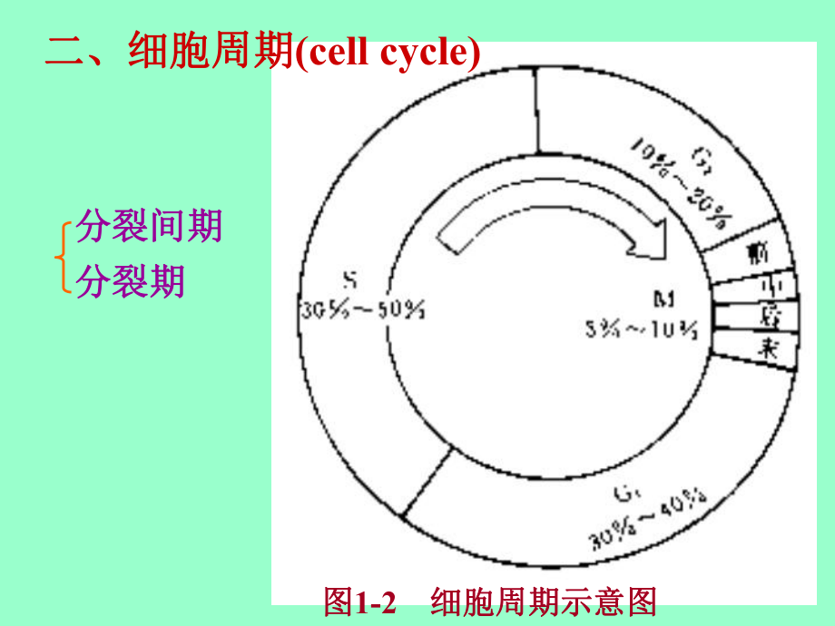 第一动物体的基本结构与机能[课件].pptx_第1页