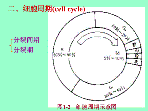 第一动物体的基本结构与机能[课件].pptx