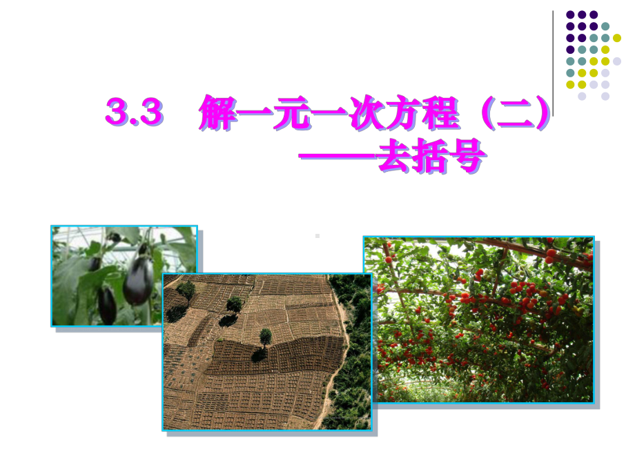 部审初中数学七年级上《-去括号解一元一次方程》课件-一等奖新名师优质公开课获奖比赛新课标.ppt_第1页