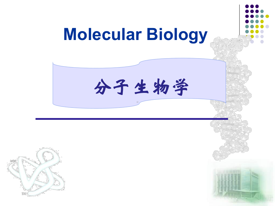 生物奥赛-分子生物学课件.ppt_第1页