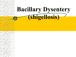 痢疾英文课件—内科学.ppt