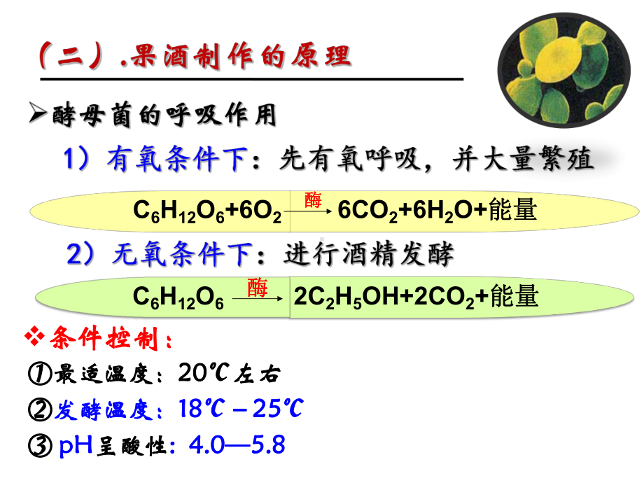 生物选修1一-112果酒和果醋的发酵课件.ppt_第3页