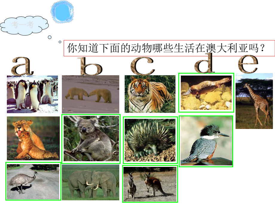 粤教初中地理七年级下册《10第三节-大洋中的陆地-大洋洲》课件-2.ppt_第3页