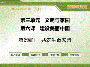 部编人教版九年级上册道德与法治《共筑生命家园》课件.ppt