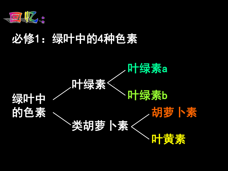 胡萝卜素的提取课件.pptx_第2页