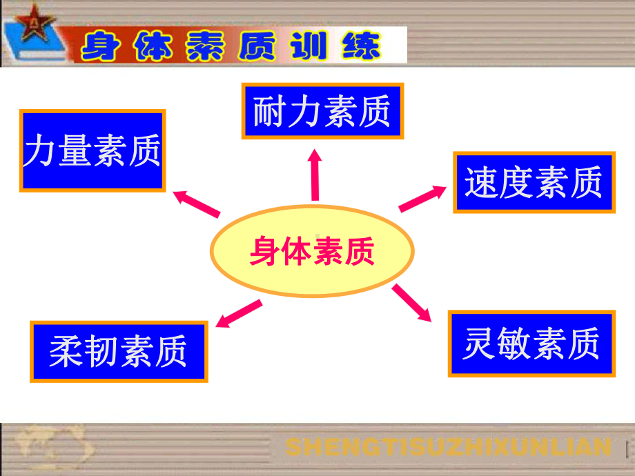 身体素质训练课件.ppt_第2页