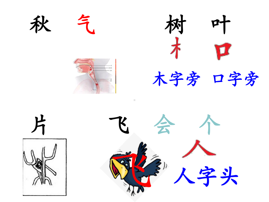 部编一年级上册《小小的船》(最终版)课件.ppt_第2页