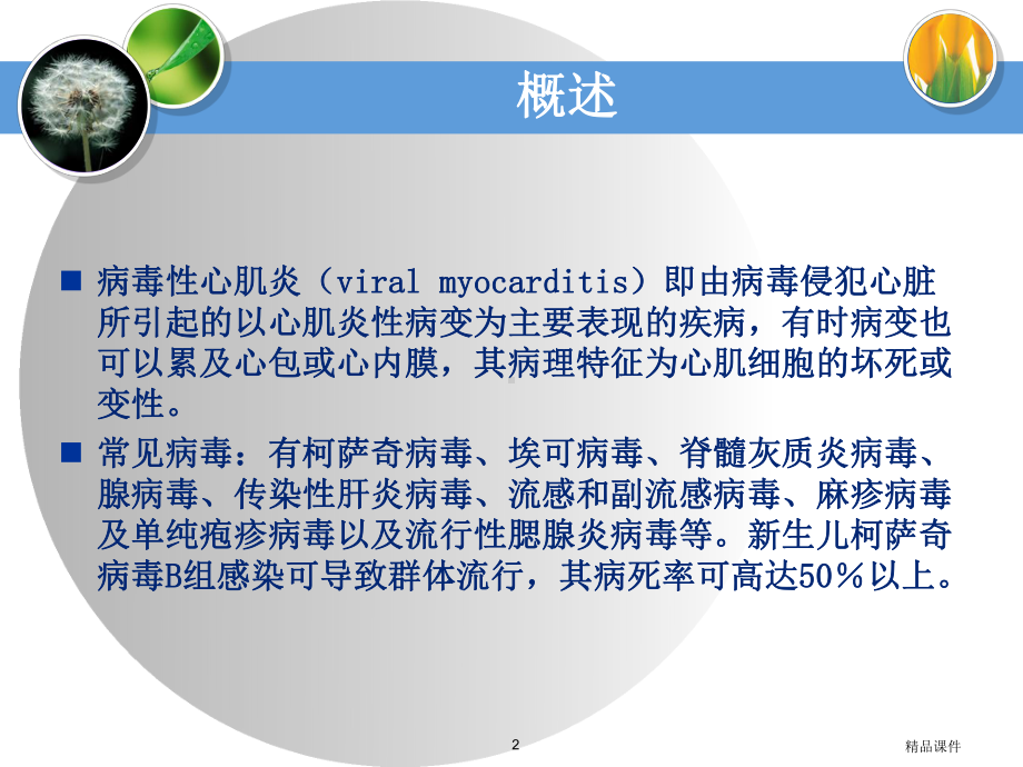 病毒性心肌炎的护理医学课件.ppt_第2页