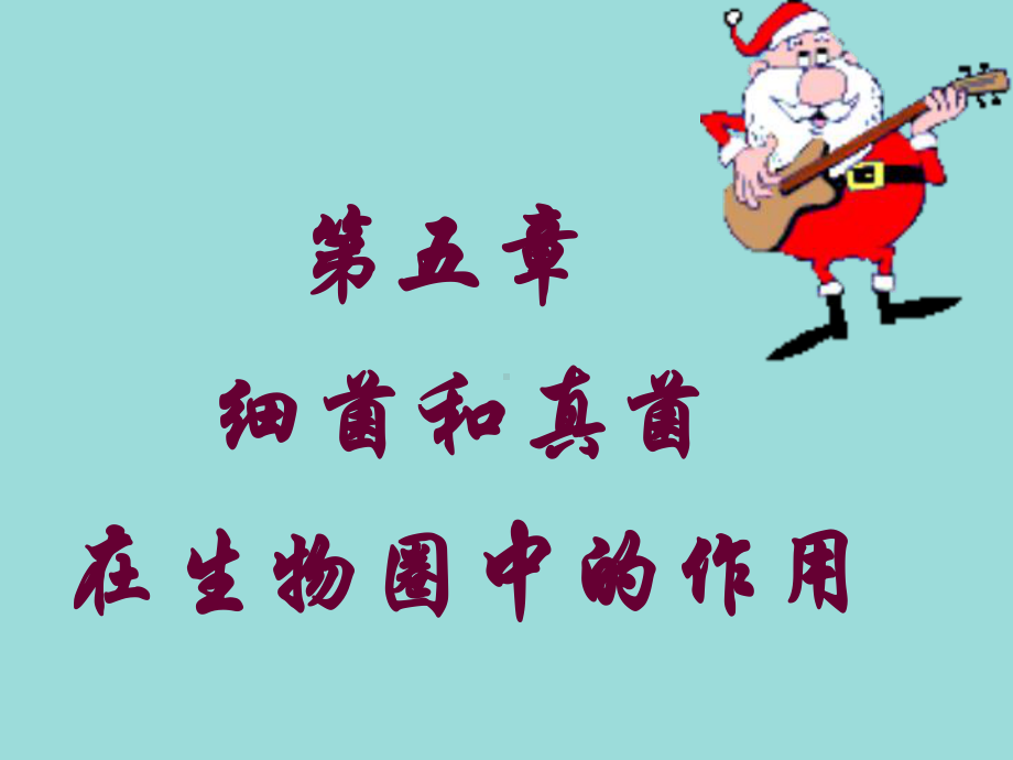 细菌和真菌的作用课件.ppt_第2页