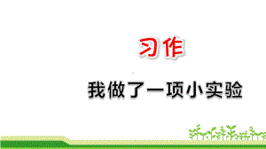 部编版-习作：我做了一项小实验课件.ppt