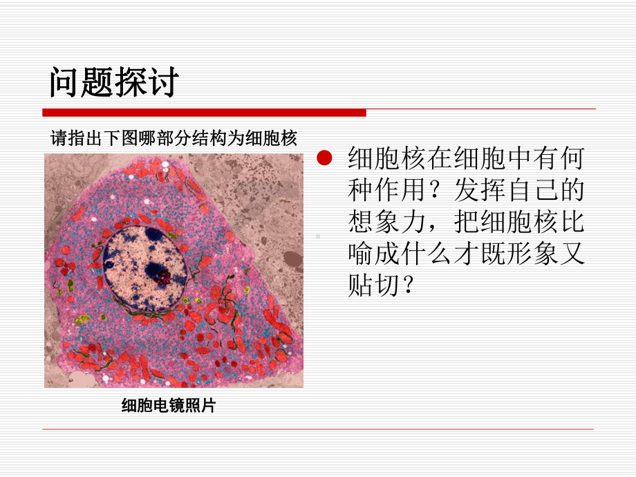 生物必修一细胞核附课件.ppt_第2页