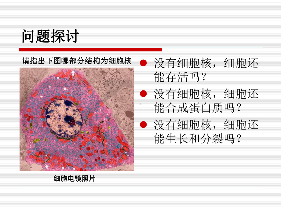 生物必修一细胞核附课件.ppt_第3页