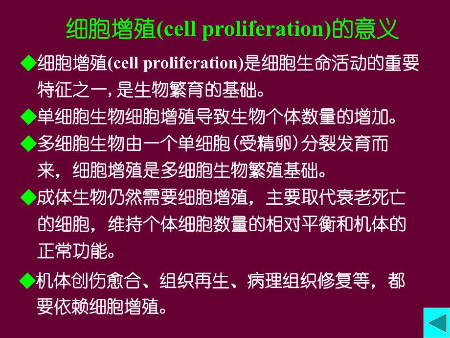 细胞生物学第12章-细胞增殖及其调控-3版课件.ppt_第2页