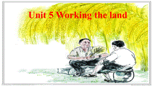 选择性必修一Unit-5-working-the-land-Reading-and-thinking课件.pptx