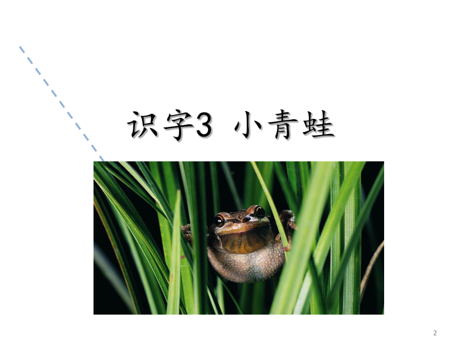 部编版一年级语文下册课件-识字3小青蛙.ppt_第2页