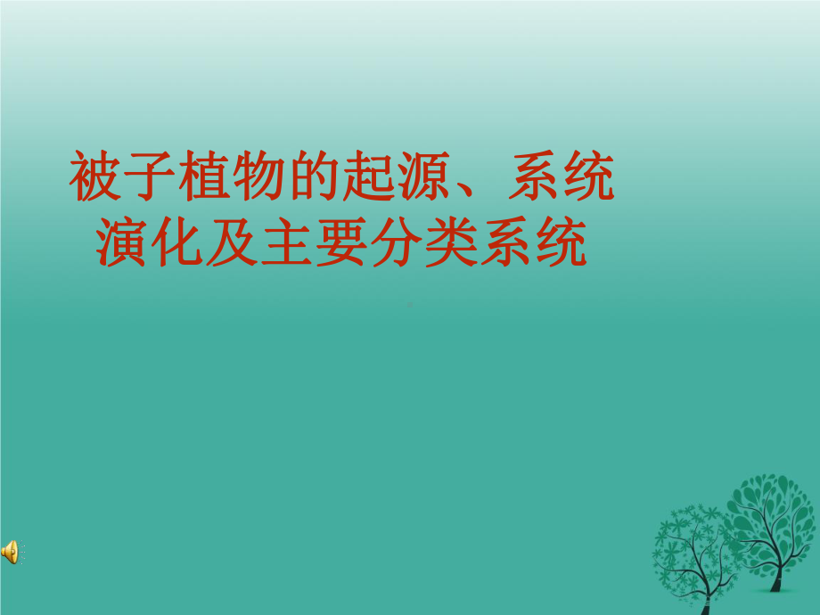 被子植物的起源课件.ppt_第1页