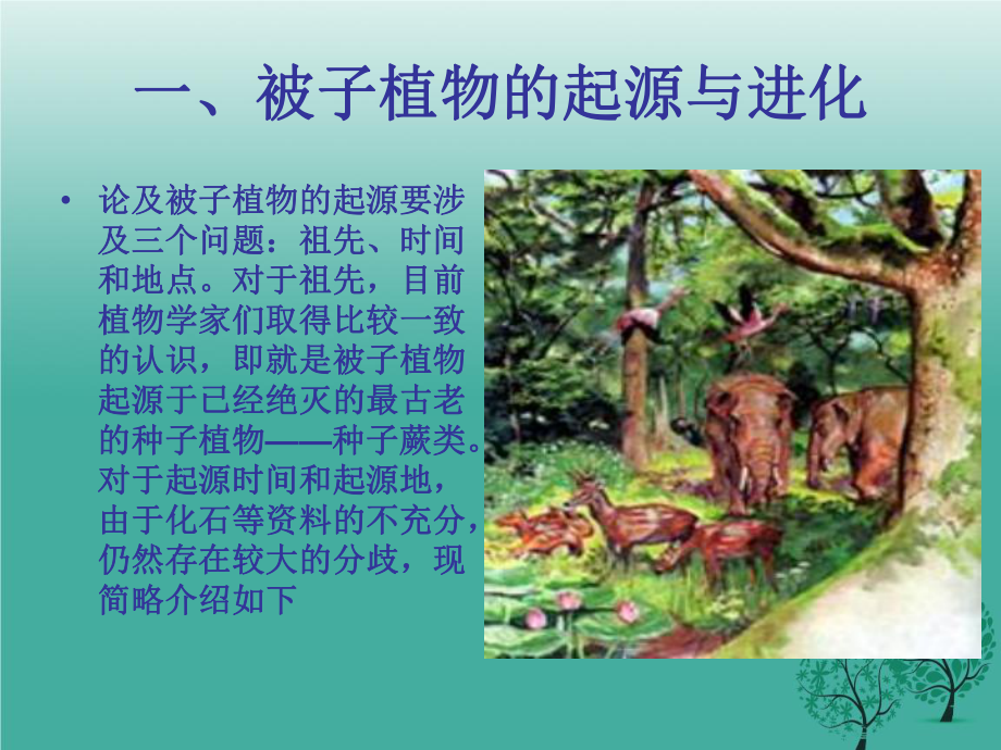 被子植物的起源课件.ppt_第2页