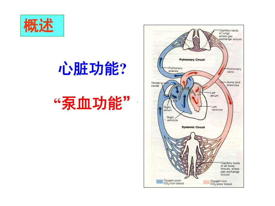 病理生理学教学资料课件.pptx_第3页