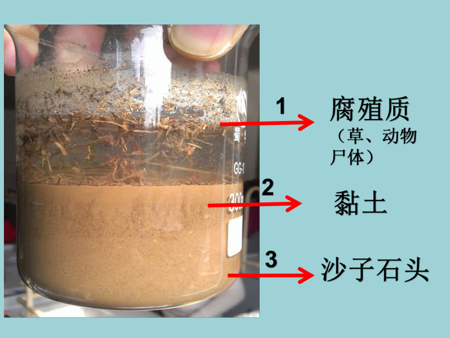 科学三年级上册课件-22、百变的土壤.ppt_第2页