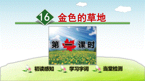 部编人教版小学语文三年级上册课件：16金色的草地.ppt