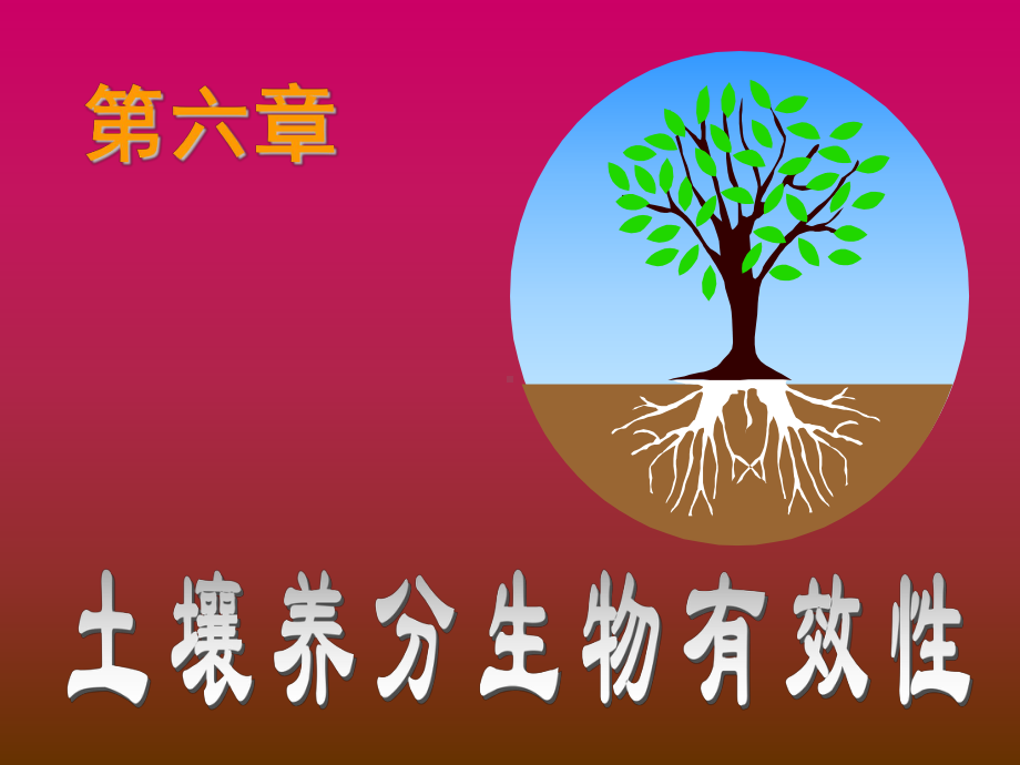 第六章土壤养分的生物有效性课件.ppt_第1页