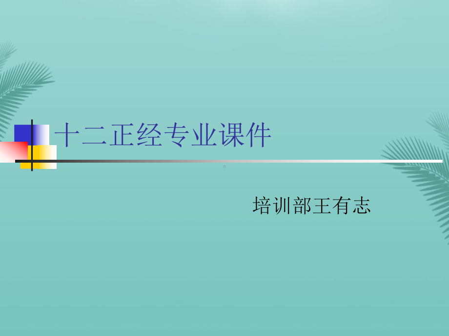 经络十二正经专业优秀精选课件.ppt_第1页