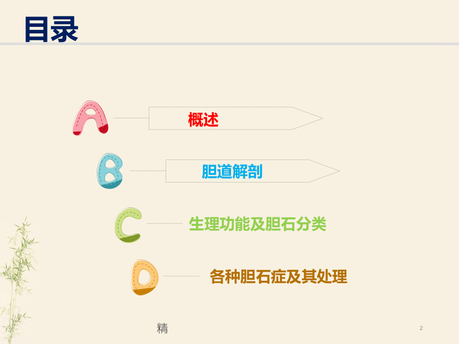 胆石症学习课件(精选).ppt_第2页