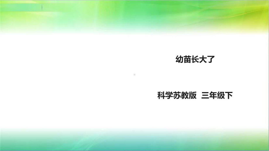 苏教版小学新版科学三年级下12《幼苗长大了》课件.ppt_第1页