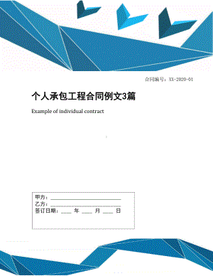 个人承包工程合同例文3篇(DOC 17页).docx