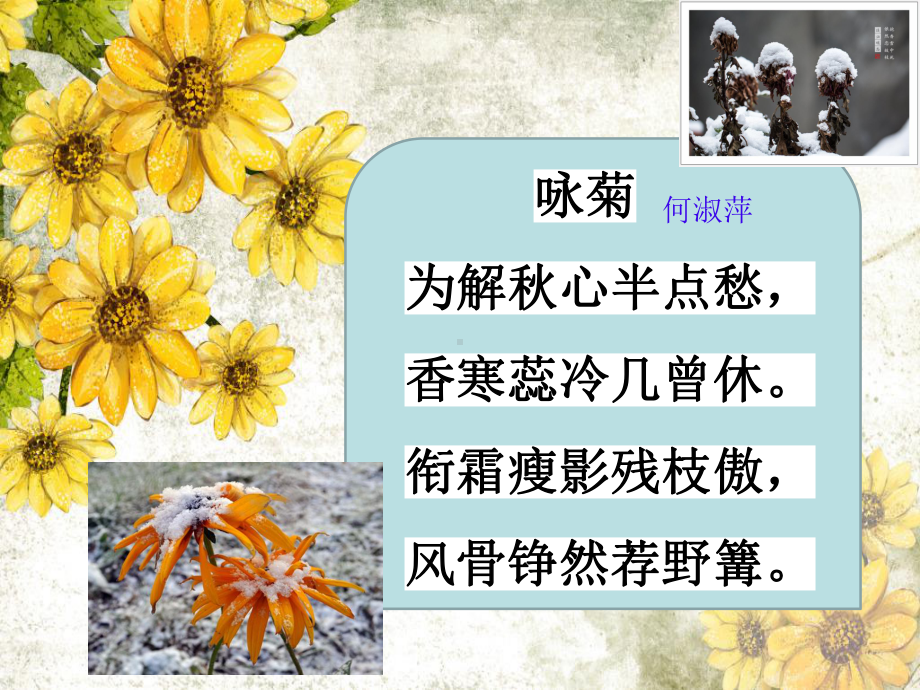 石灰吟(省一等奖)课件.ppt_第1页