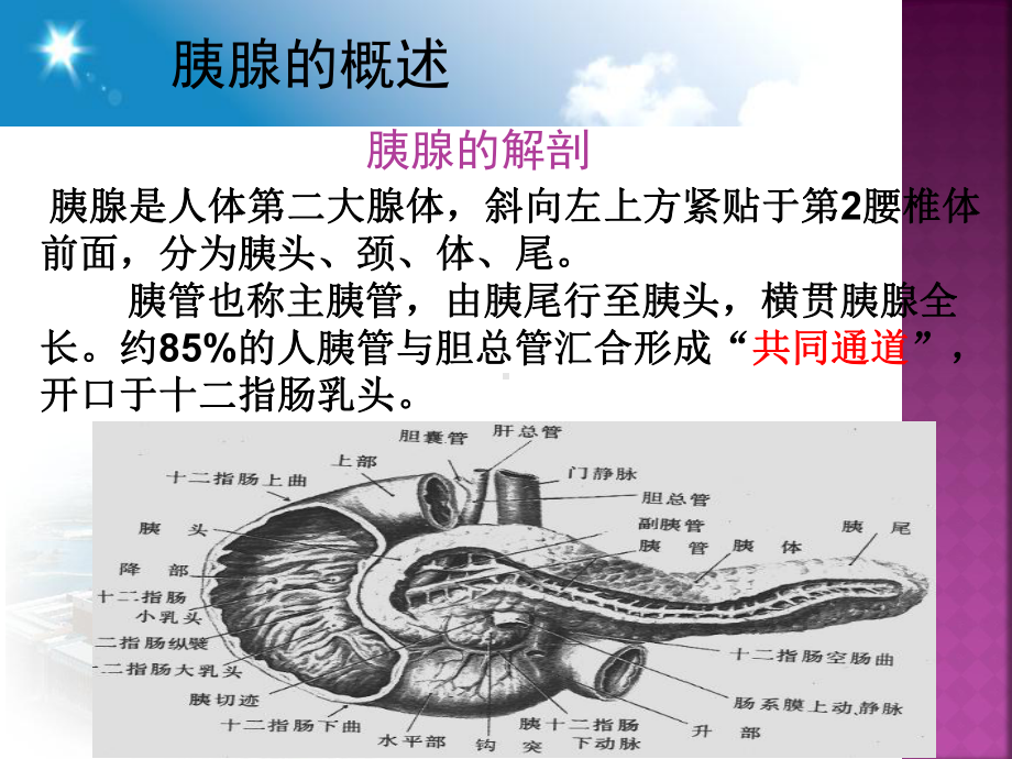 胰腺炎讲课课件.ppt_第3页