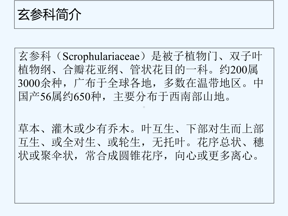 观赏植物资源与利用课件.pptx_第2页