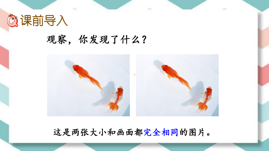 西师大版数学六年级上册第五单元全部课件.pptx_第3页