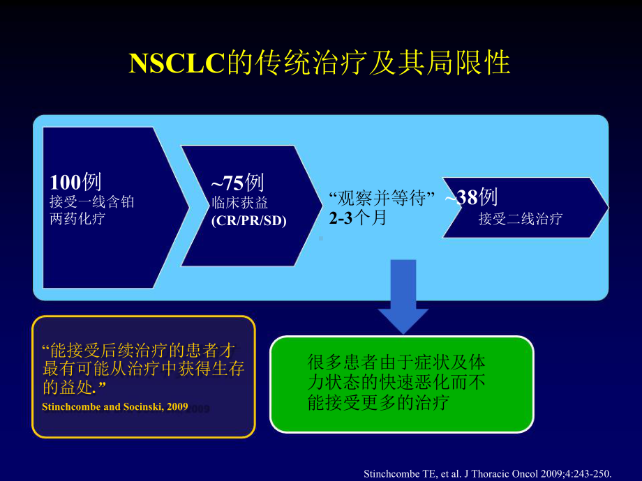 NSCLC维持治疗..ppt_第2页