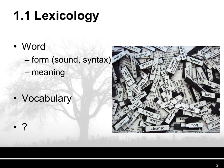 英语词汇学intro课件.ppt_第3页