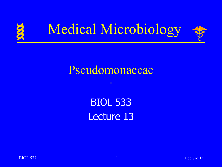 英文版-Indiana-University-Purdue-University-Fort-Wayne微生物学授课讲义-lecture-13课件.ppt_第1页